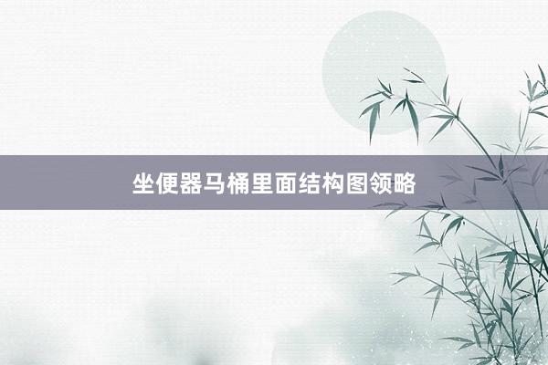坐便器马桶里面结构图领略